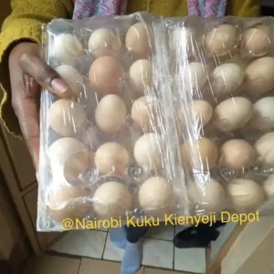 A Create of Kienyeji Eggs